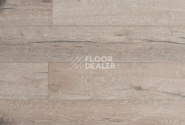 Ламинат My Step Mega 12 ms 2212 Дуб Рио фото 1 | FLOORDEALER